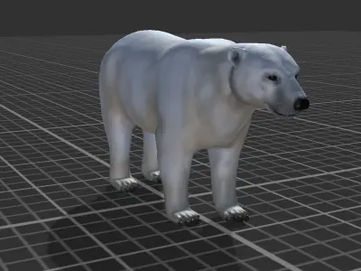 Polar Bear Low-poly 3D model