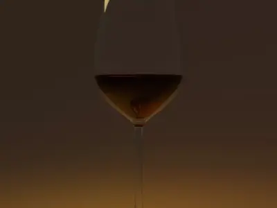 Night wine Free 3D model