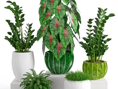 Houseplant 41 3D model