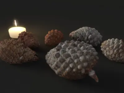 Candle Jar and Pinecones Low Poly Low-poly 3D model