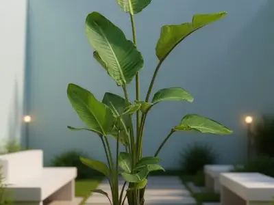 Tropical Plant Pot 3D Model Realistic Indoor Greenery Design Low-poly 3D model