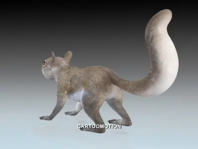 Squirrel Low-poly 3D model