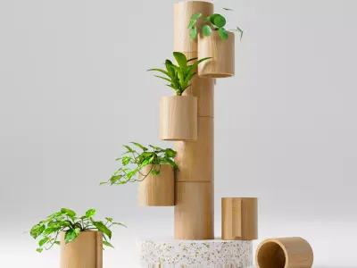 Plant Bamboo Rack 3D model