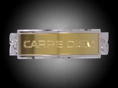Carpe Diem Bracelet TAG Cuban Chain Ring-CARPE DIEM Collection 3D print model