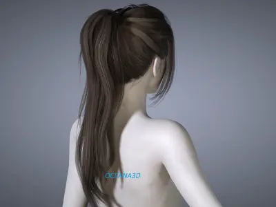 Realistic 3D Long PonyTail Dark Brown Low-poly 3D model