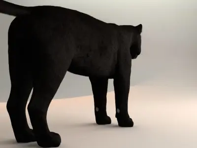 Black Leopard 3D model