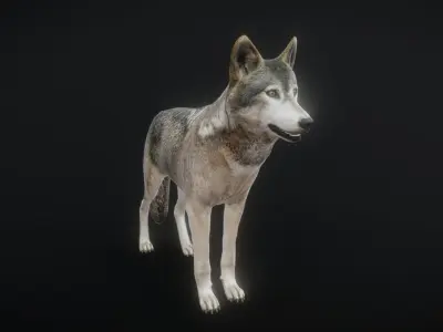 82 complete animated wolf sets Low-poly 3D model
