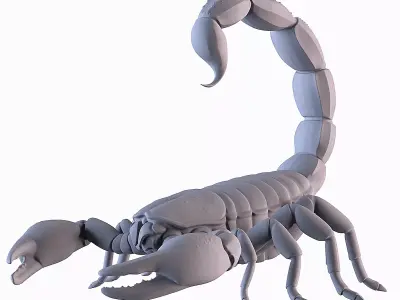 Scorpion 3D print model