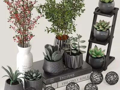 Decorative Cactus and plants set 01 3D model