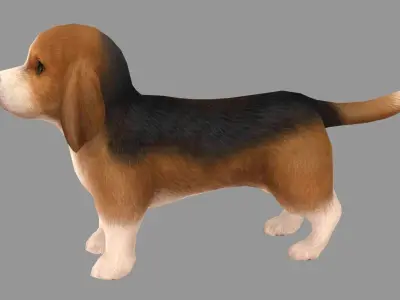 Cartoon pet puppy - Basset - baby dog Low-poly 3D model