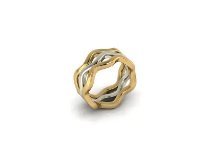 3Ring in 1 3D print model