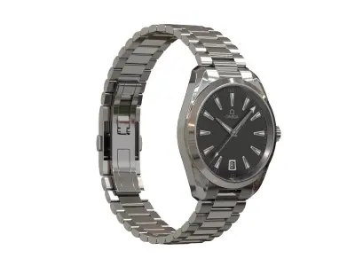 Omega Seamaster Aqua Terra Watch 3D model