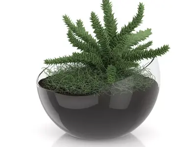 Plant in Sphere Glass Pot 3D model