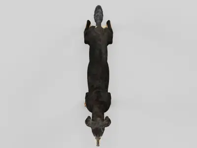 Saluki Dog Breed 3D model