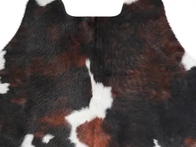 Tricolor Cowhide Rug A27043 3D model