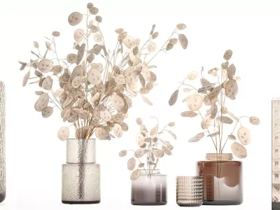 Set of bouquets of dried flowers with Lunaria branches 409 3D model