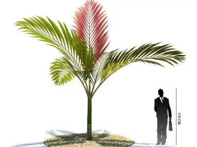 Garden Decorative Tree 3D model
