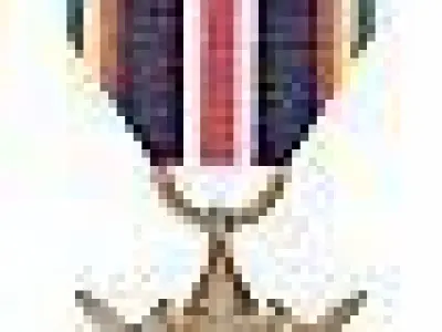 Official Republic of Chad polish star decoration 3D print model