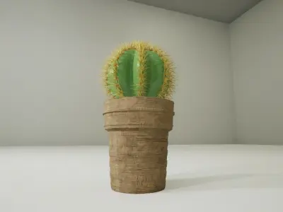 Cactus Plant in a wooden Pt 3D model 3D model