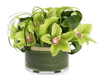 Bouquet of orchids 3D model