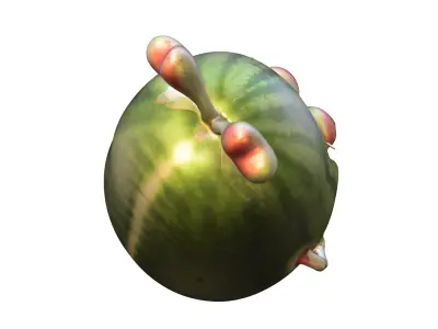 Watermelon Monster Character Low-poly 3D model
