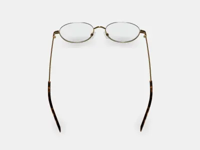 Satler Eyeglasses in Polished Gold 3D model