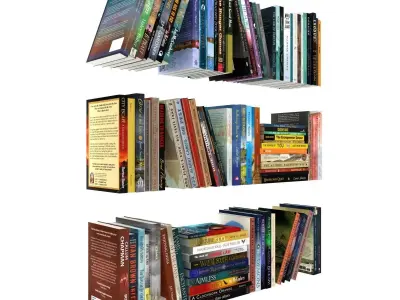 100 different books 3D model