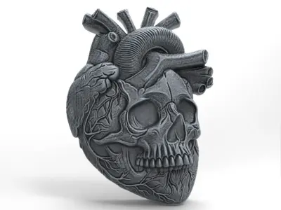  Anatomical Heart Skull 3D Model for CNC Carving and 3D Printing 3D print model