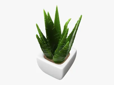 Potted plant decorative 05 3D model