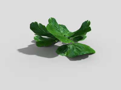 Low poly Plant leaf Low-poly 3D model
