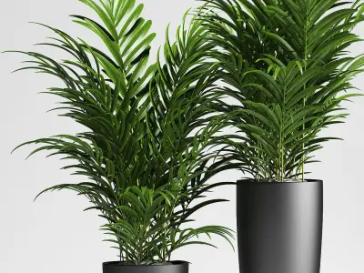 palm plants 137 3D model
