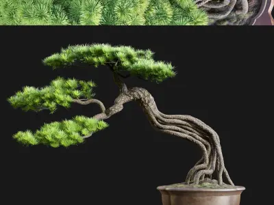 Bonsai 04 - PBR - Midpoly - HQ 3D model