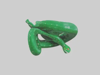 Emerald Tree Boa statue model Low-poly 3D model
