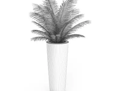 Palm Tree in Round Pot 4 3D model