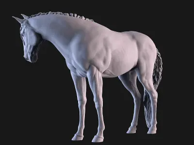 Mare Horse 3D print model