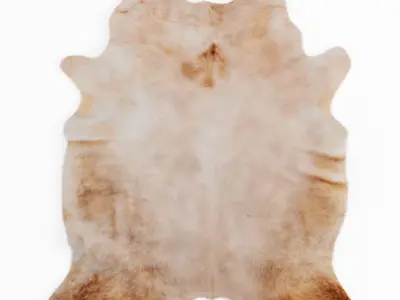 Four rugs from animal skins 04 3D model