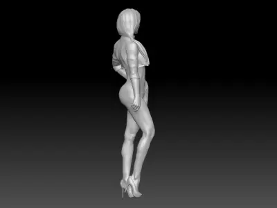 FORMULA ONE GIRL FLAG 2 3D print model