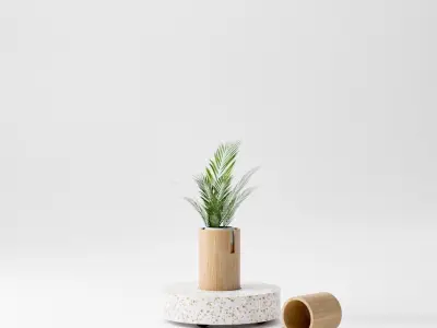 Plant Bamboo Rack 3D model