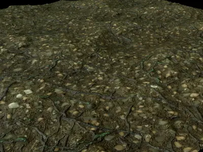 4 - Organic Materials For Environtment Texture