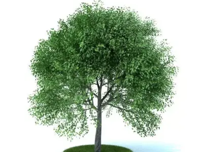 Fully Leafed Green Artificial Tree 3D model
