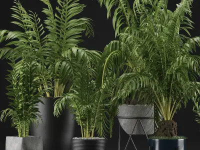 Plants Collection 18 3D model purchase