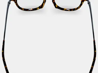 Kian Eyeglasses in Black Oak Tortoise with Brushed Ink 3D model