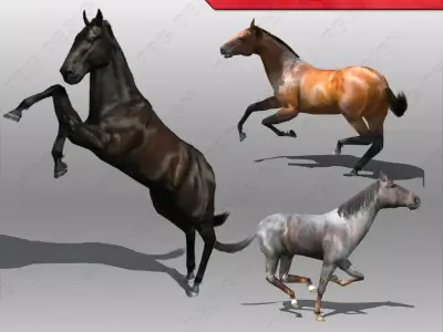 Horse Animated Low-poly 3D model order