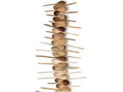 Decorative wooden set with oldest spoons 3D model