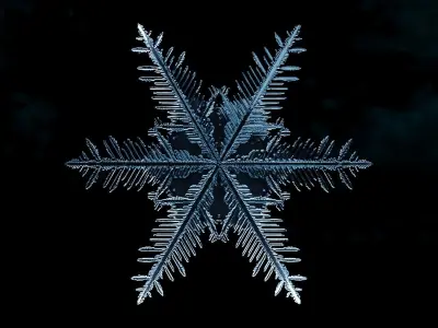 Snowflake 02 growing animation with blender file 3D model