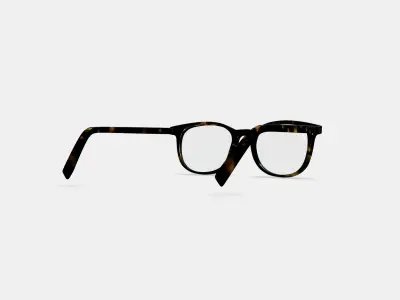 Durand Eyeglasses in Whiskey Tortoise 3D model