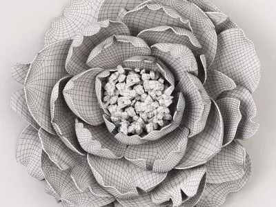 Plaster peony 3D model