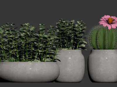 Set Ronan Ficonstone Indoor vs Outdoor Planters small 3D model