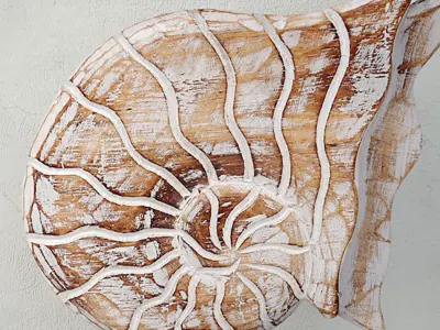 Balinese Wood Nautilus Shell Sculpture 3D model