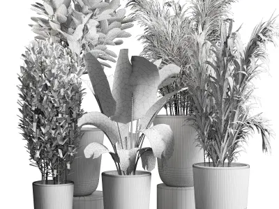 Indoor plant 24 Low-poly 3D model